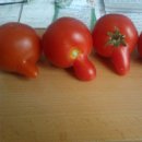 Nagy m�ret