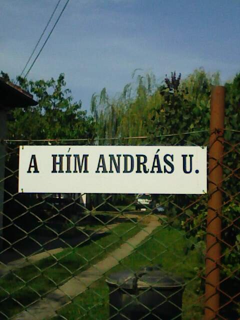 A hím András utca