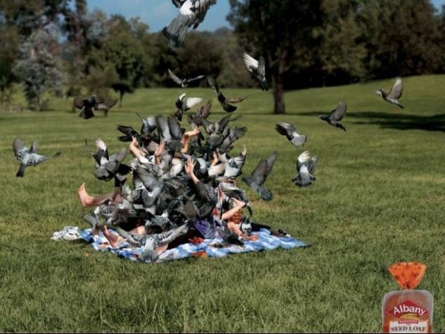 Családi piknik