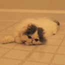 Kattints a képre!