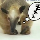 Kattints a képre!