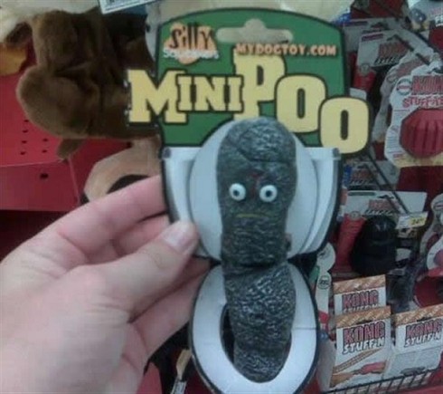 Mini Poo