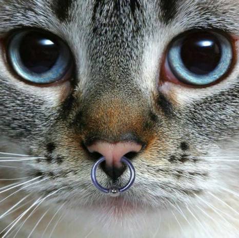 Piercing