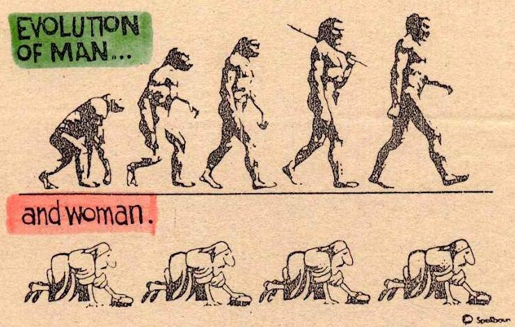 A férfi és a nő evolúciója