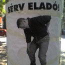 Sérv eladó