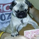 Na akkor gondolkodjunk.....