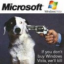 Vista