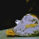 SKY szalagos hibajavító