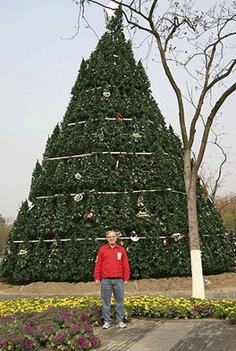 Óriás karácsonyfa