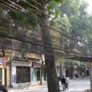 Kábel a rengetegben