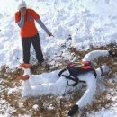 Ejtőernyős baleset