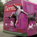 Busz
