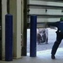 Váratlan látogató