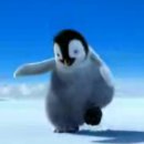 Táncoslábú pingvinek