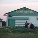 Fantastic
