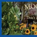 Virágbolt férfiaknak