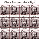 Chuck Norris