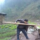 Biliárd a szabadban