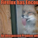 A Tűzróka és az Ablak