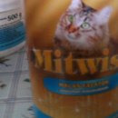 Mitwisz