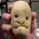 Krumpli-koma