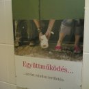 Együttműködés